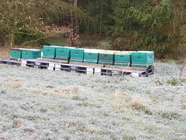 Bienenstand Vinnen im Winter