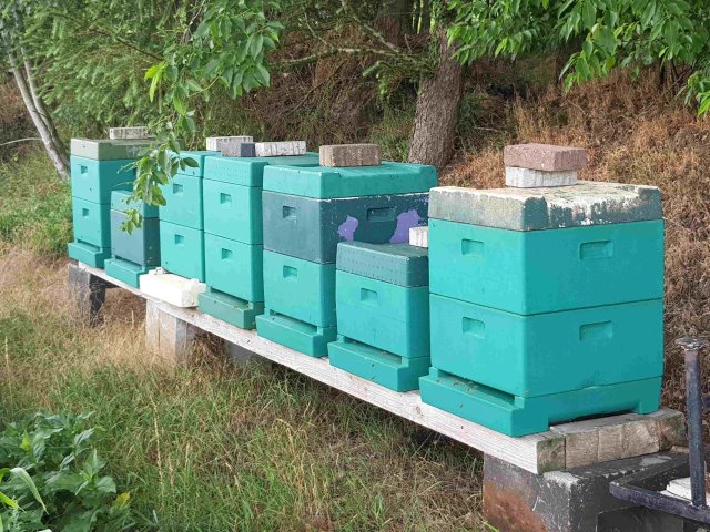 Bienenstand in Lahn